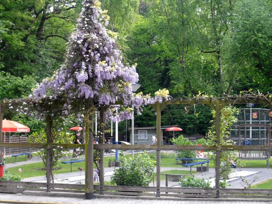 Morgens zu Pfingsten 2010